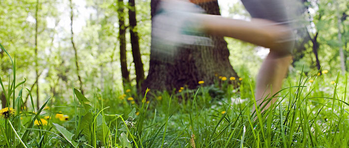 Decreased Stress Levels